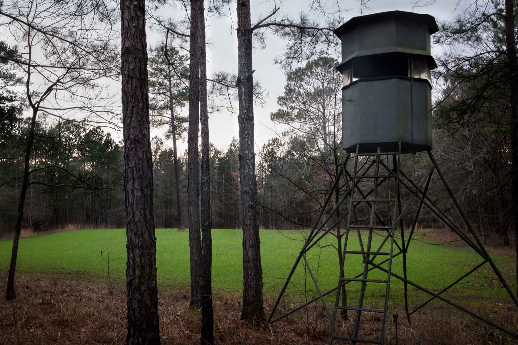 Oconee Farm property picture 61 of 65