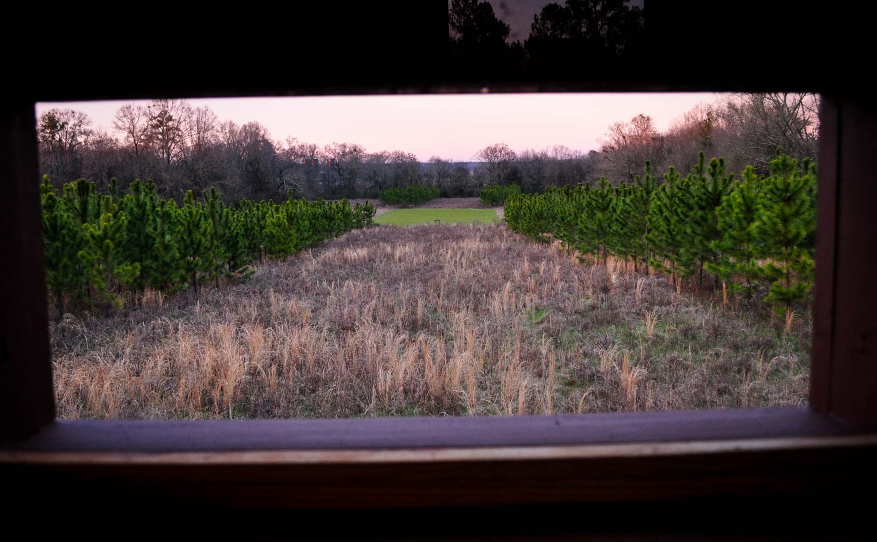 Oconee Farm property picture 63 of 65