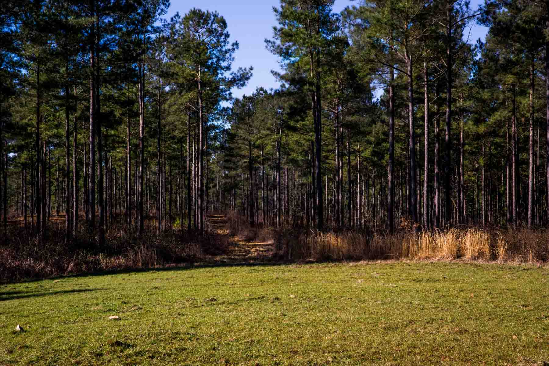 Oconee Farm property picture 65 of 65