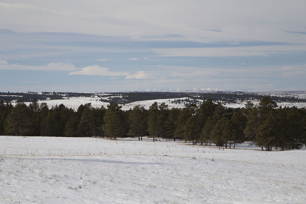 Westwind Ranch property picture 8 of 8