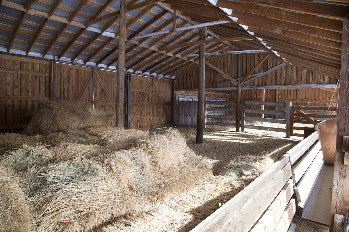 Westwind Ranch property picture 7 of 8