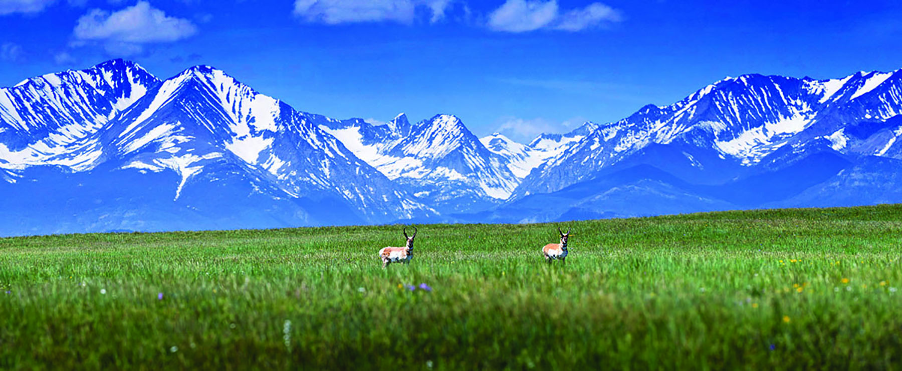 Crazy Waters Ranch property picture 7 of 17