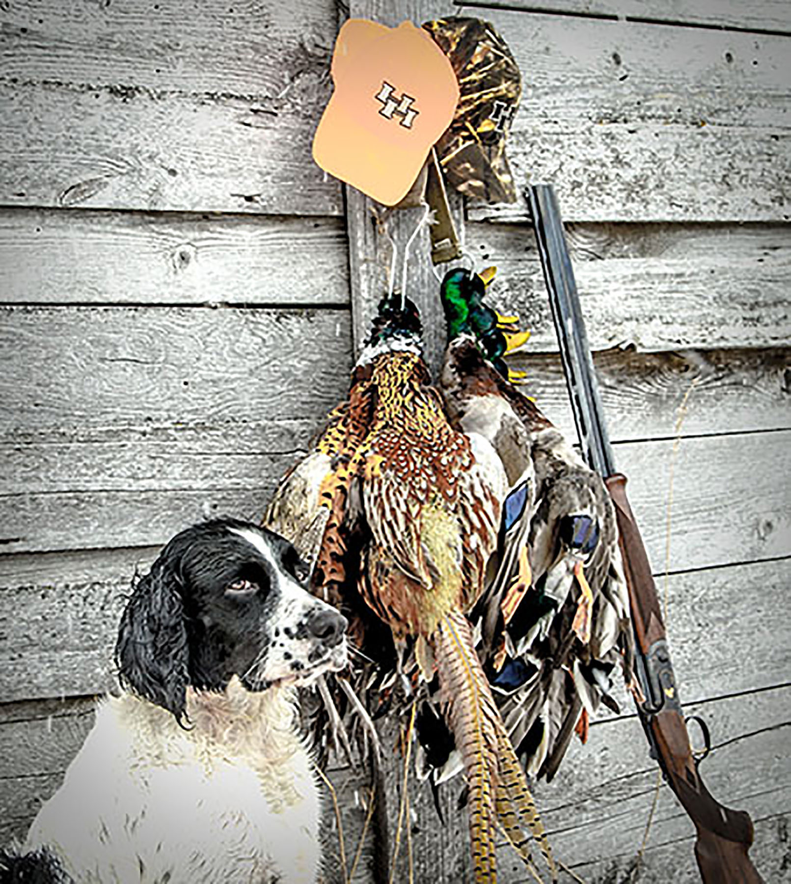 Crazy Waters Ranch property picture 16 of 17