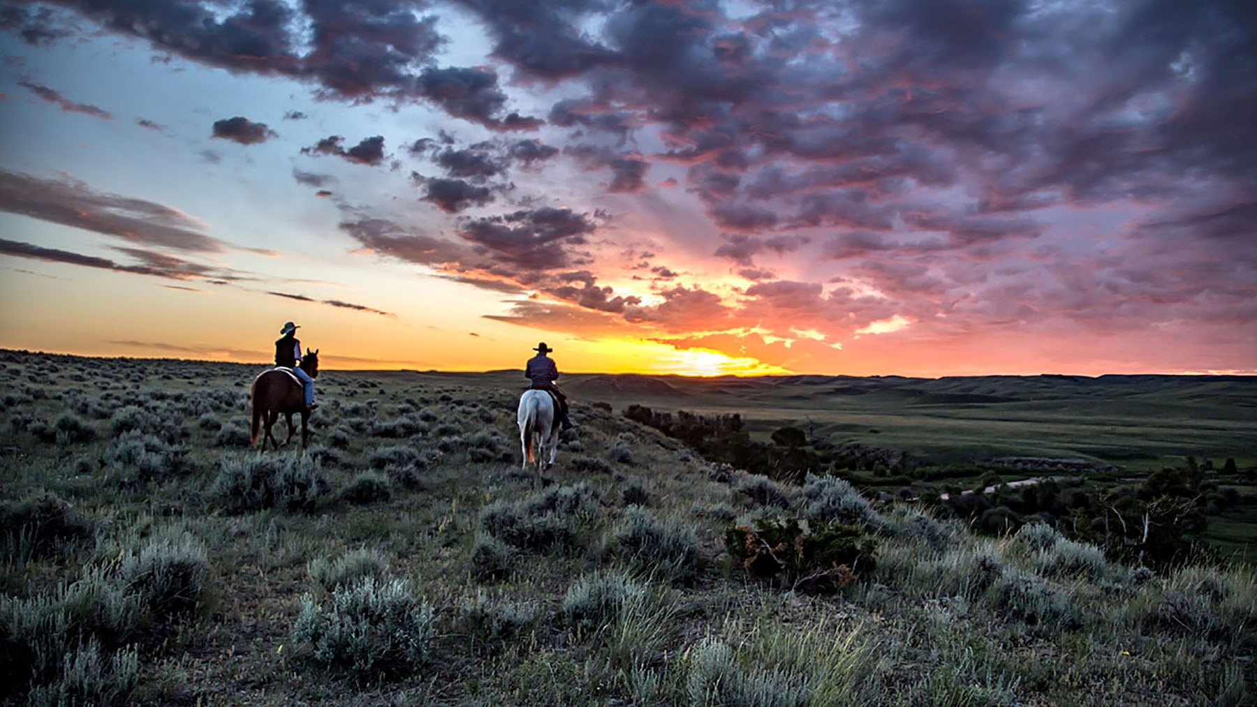 Crazy Waters Ranch property picture 9 of 17
