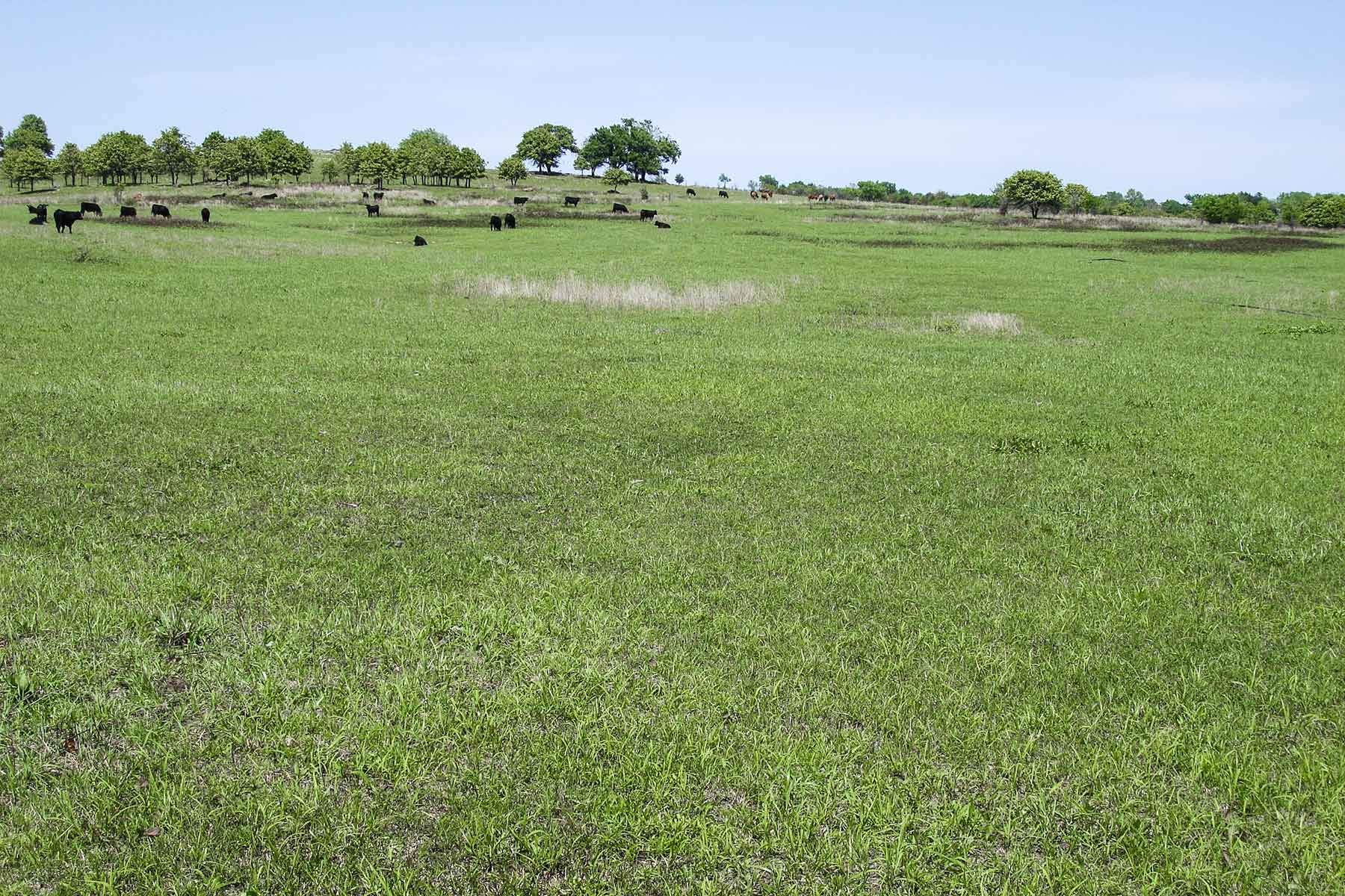Caney River Ranch property picture 2 of 13