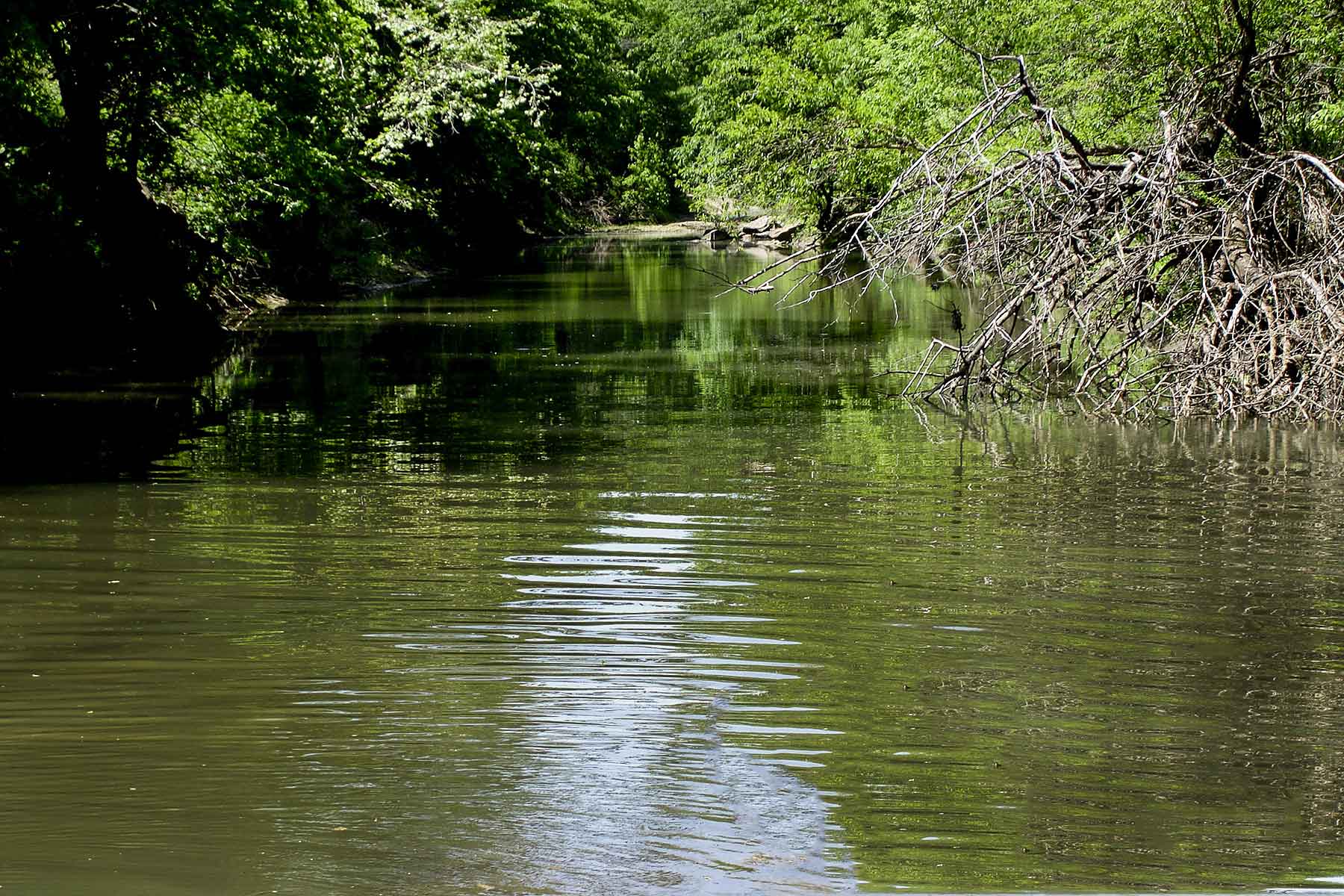 Caney River Ranch property picture 5 of 13