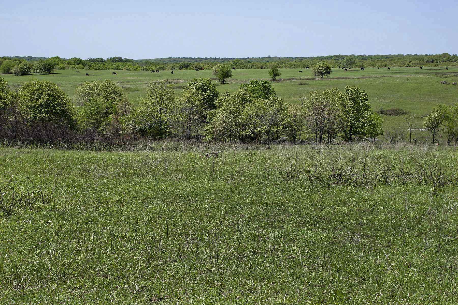 Caney River Ranch property picture 8 of 13