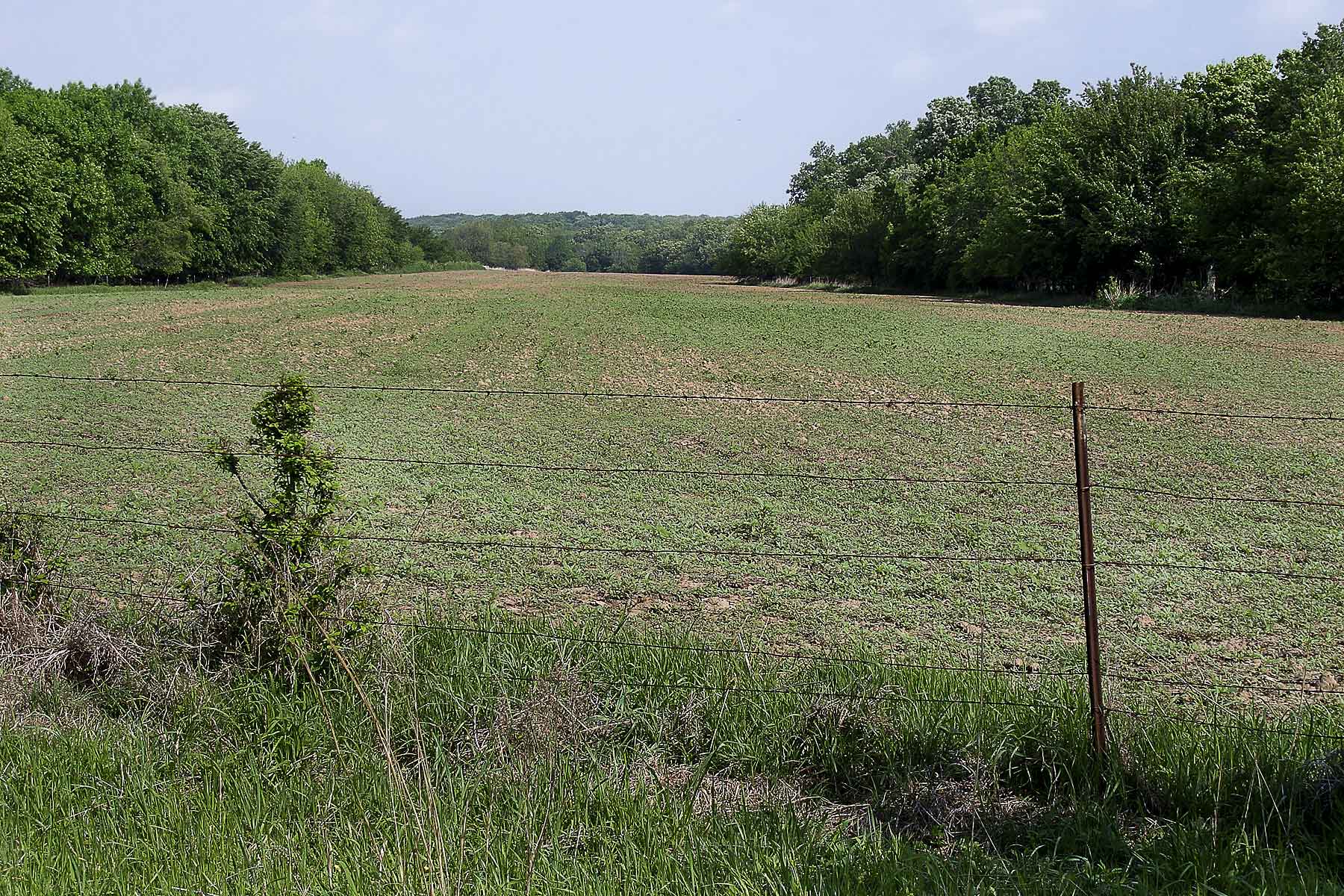 Caney River Ranch property picture 9 of 13