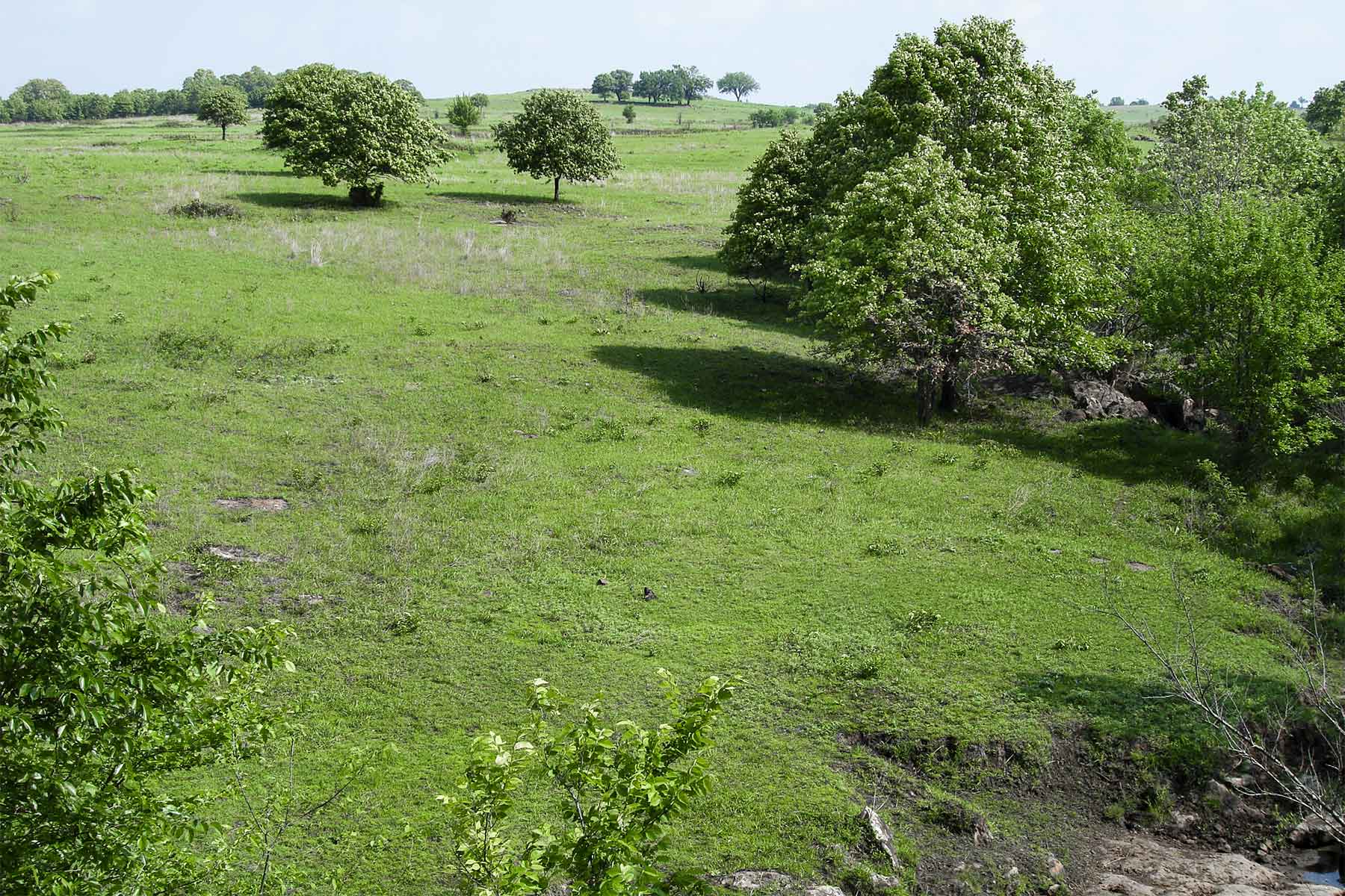 Caney River Ranch property picture 11 of 13