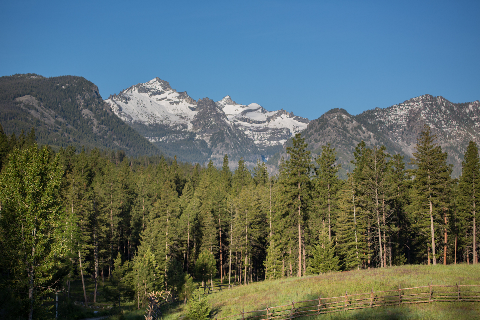 White Moose Ranch property picture 67 of 68