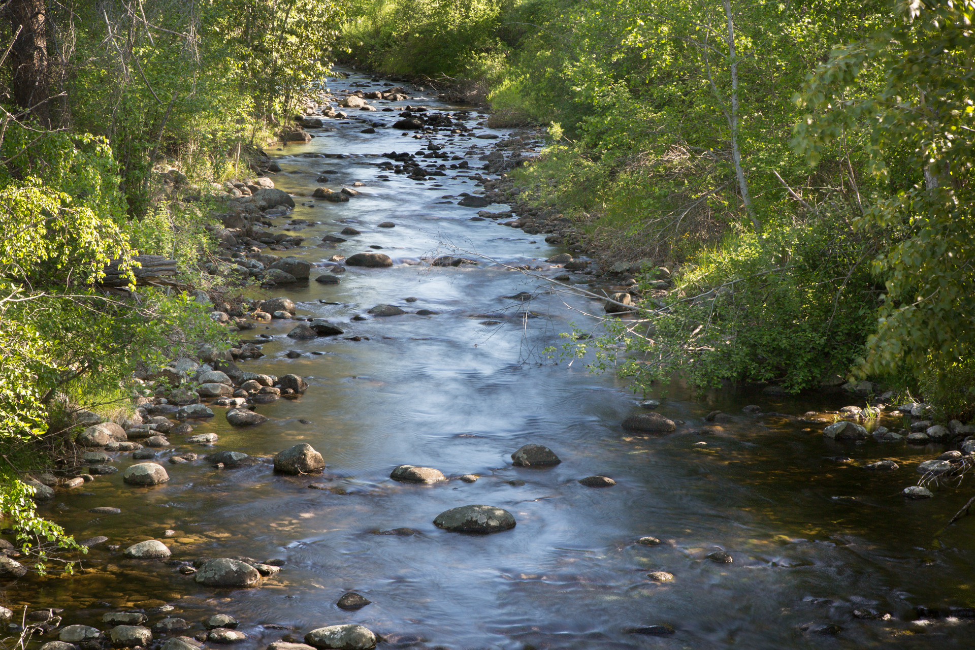 White Moose Ranch property picture 66 of 68