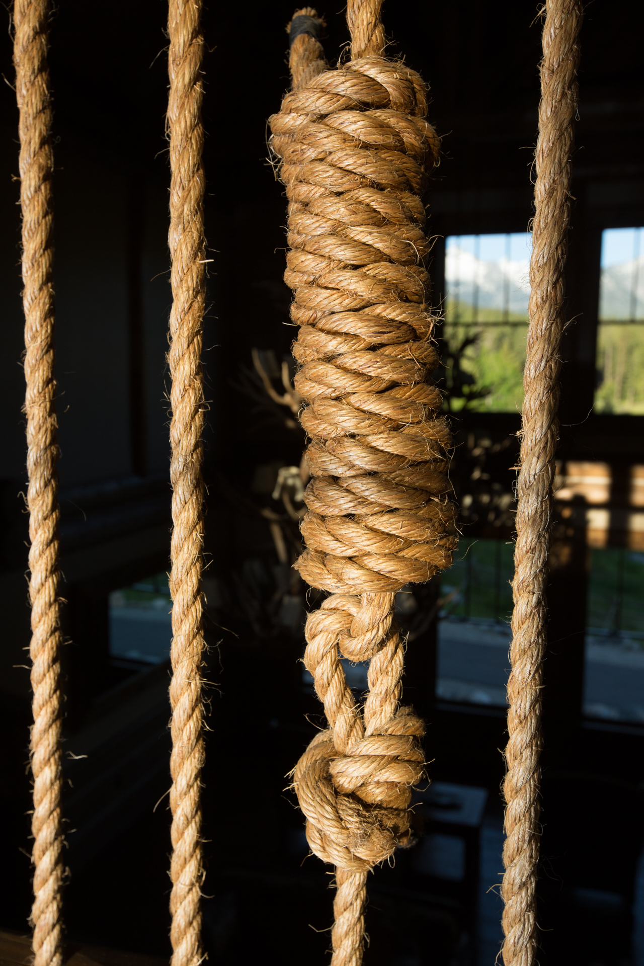 White Moose Ranch property picture 43 of 68