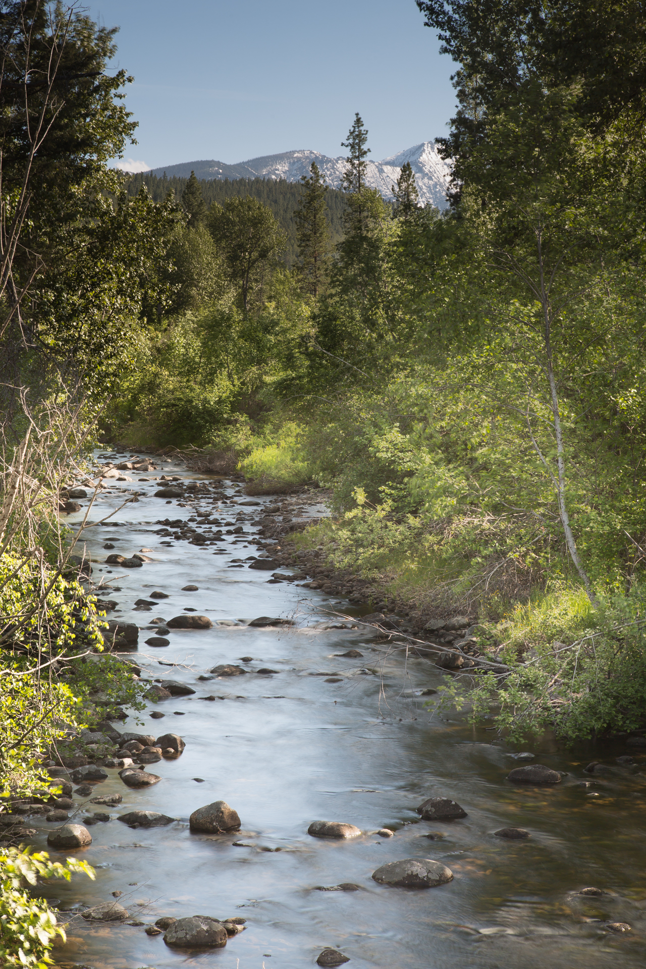 White Moose Ranch property picture 15 of 68
