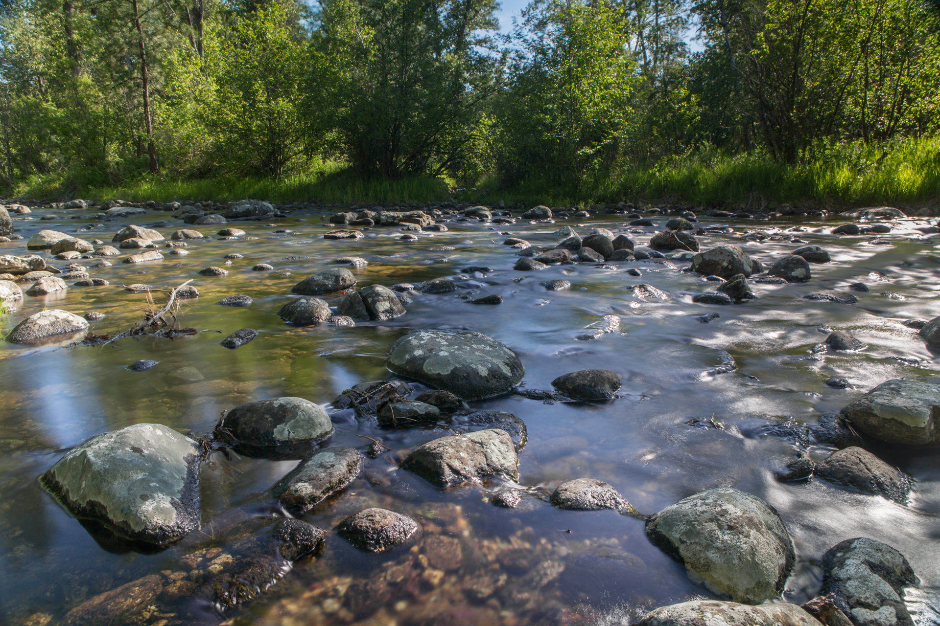 White Moose Ranch property picture 2 of 68