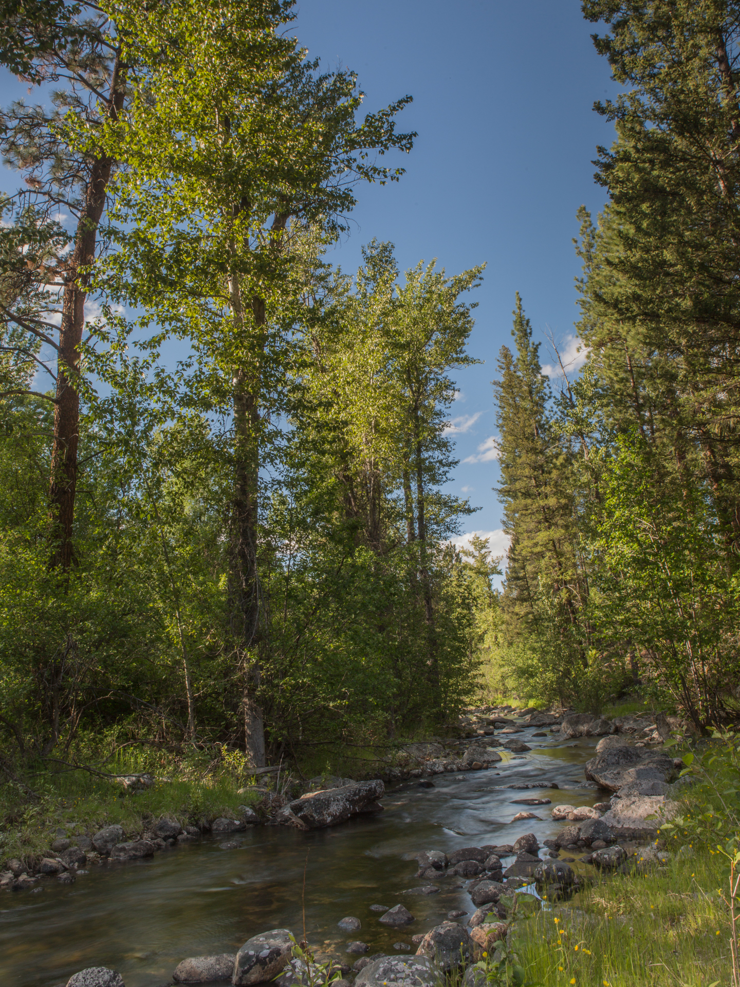 White Moose Ranch property picture 36 of 68