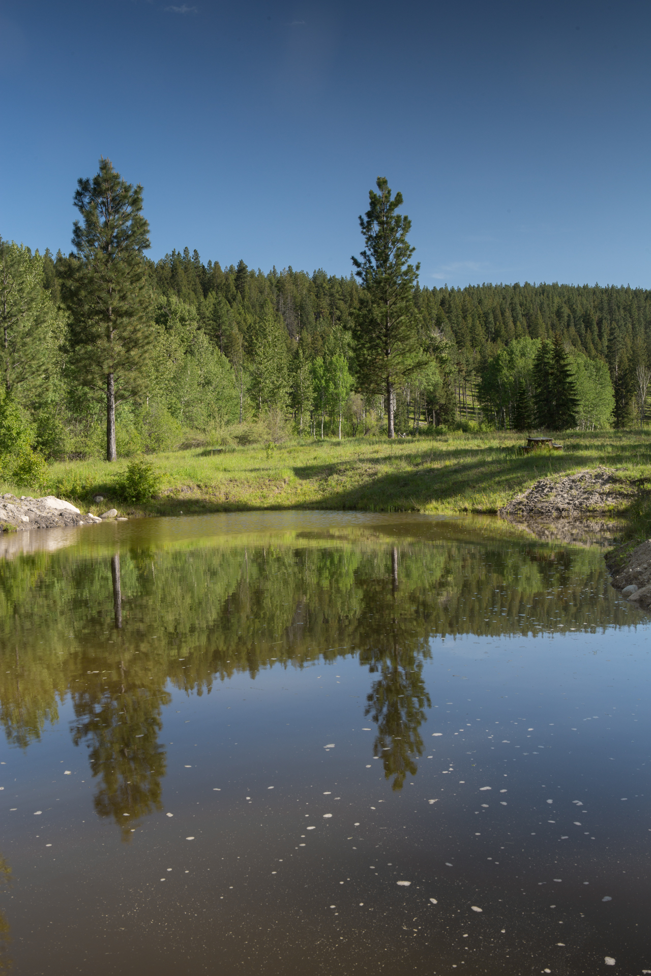 White Moose Ranch property picture 35 of 68