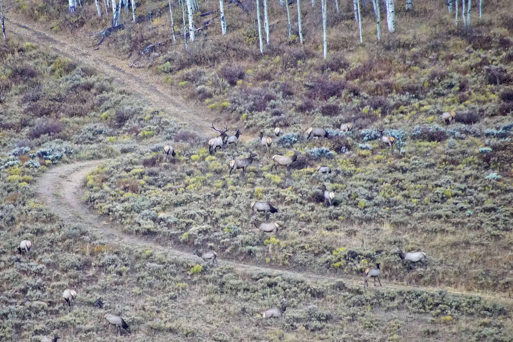 Mexican Ridge Ranch property picture 7 of 48