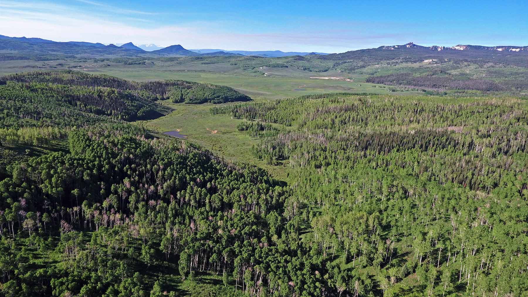 Mexican Ridge Ranch property picture 11 of 48