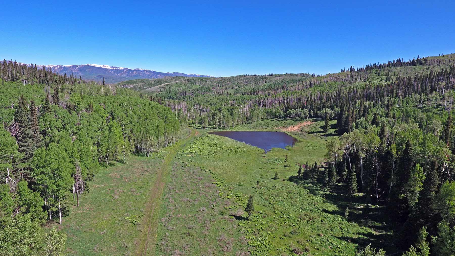 Mexican Ridge Ranch property picture 8 of 48