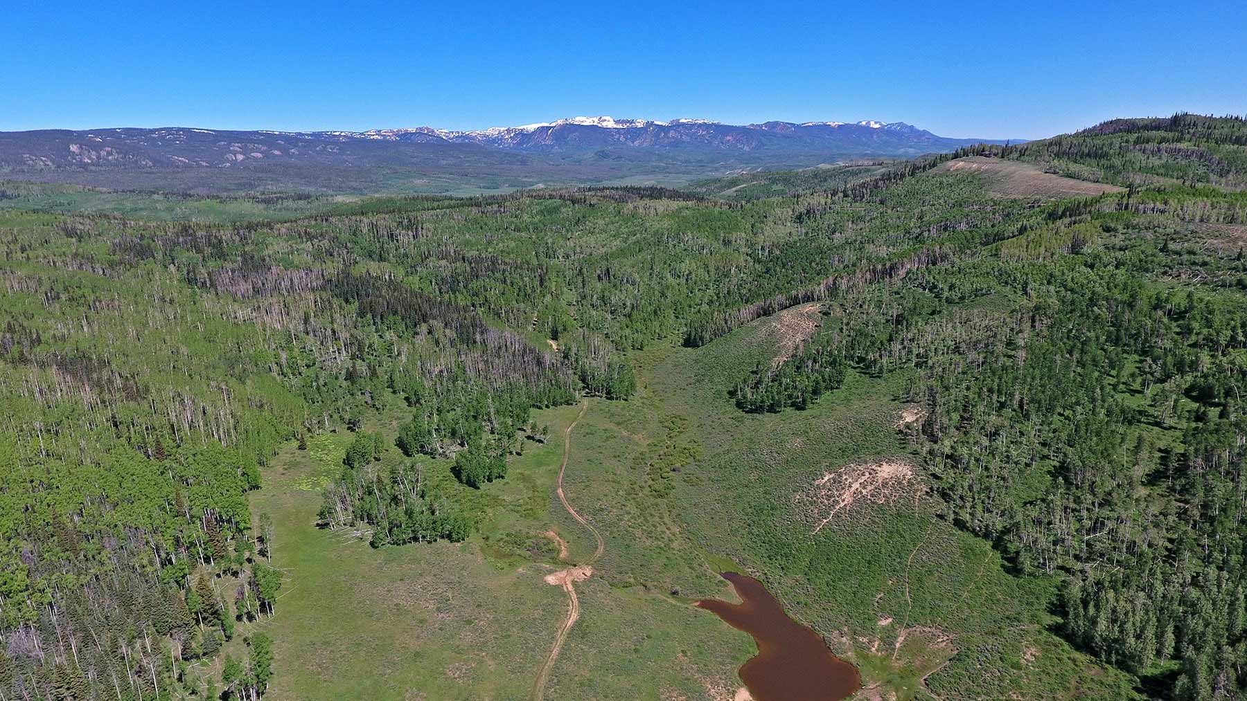 Mexican Ridge Ranch property picture 14 of 48