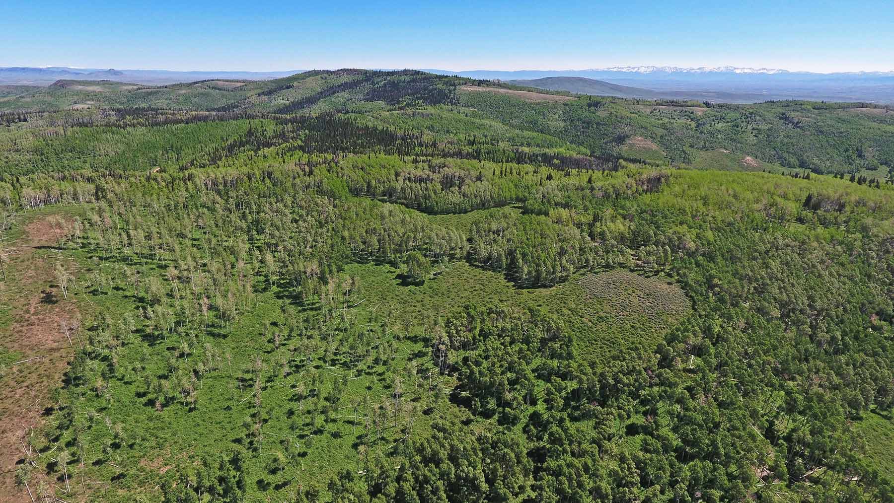 Mexican Ridge Ranch property picture 16 of 48