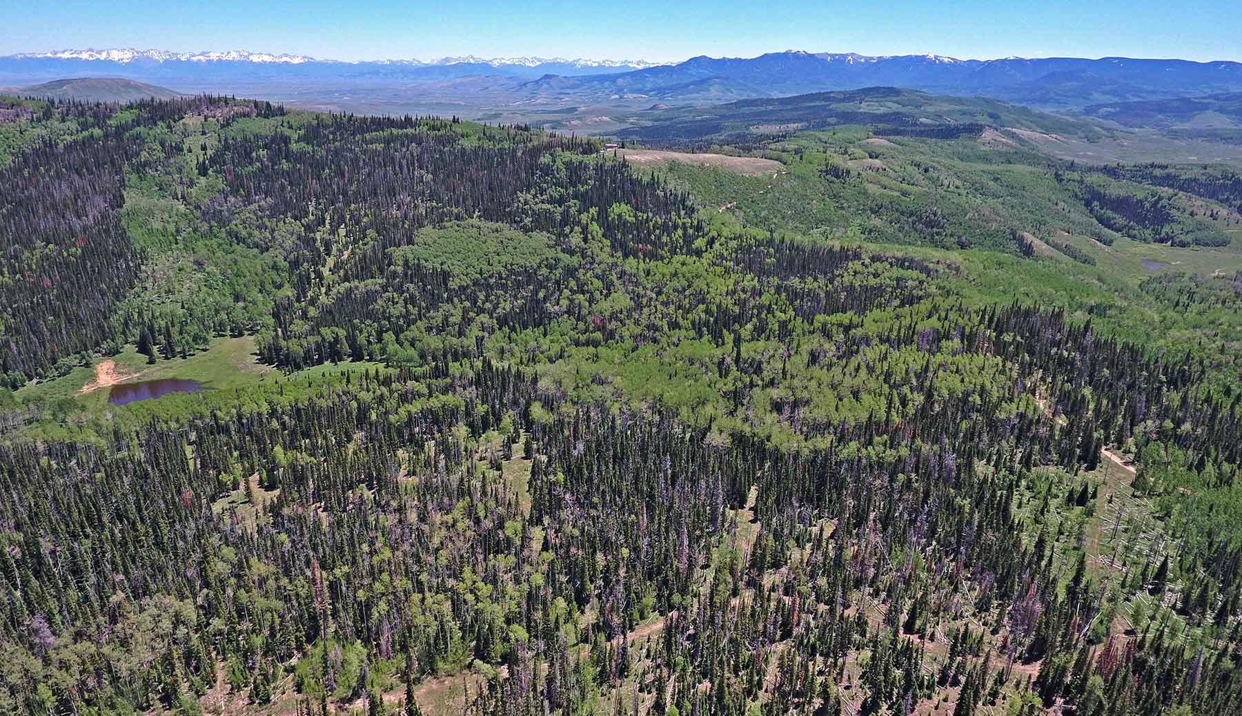 Mexican Ridge Ranch property picture 9 of 48