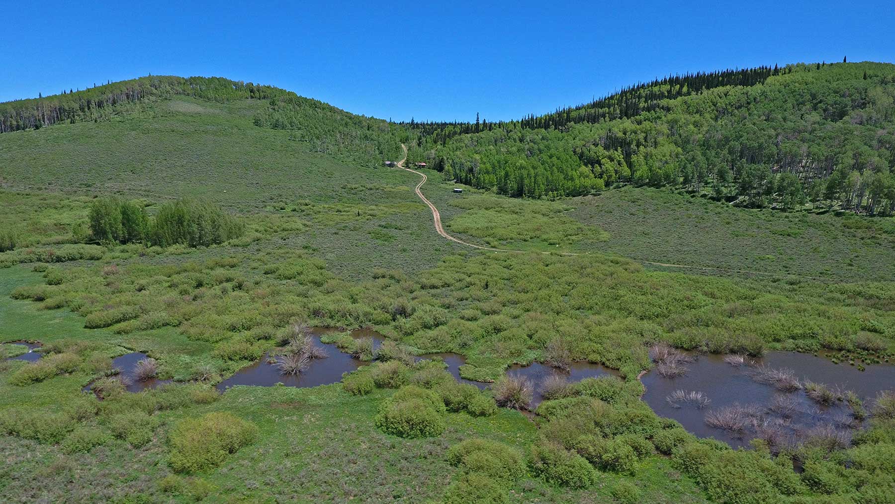 Mexican Ridge Ranch property picture 39 of 48