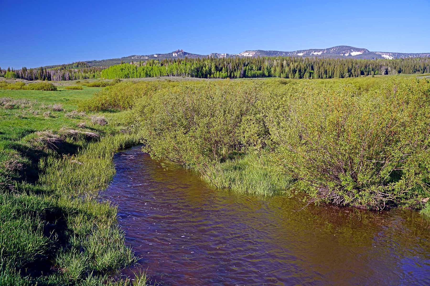 Mexican Ridge Ranch property picture 34 of 48