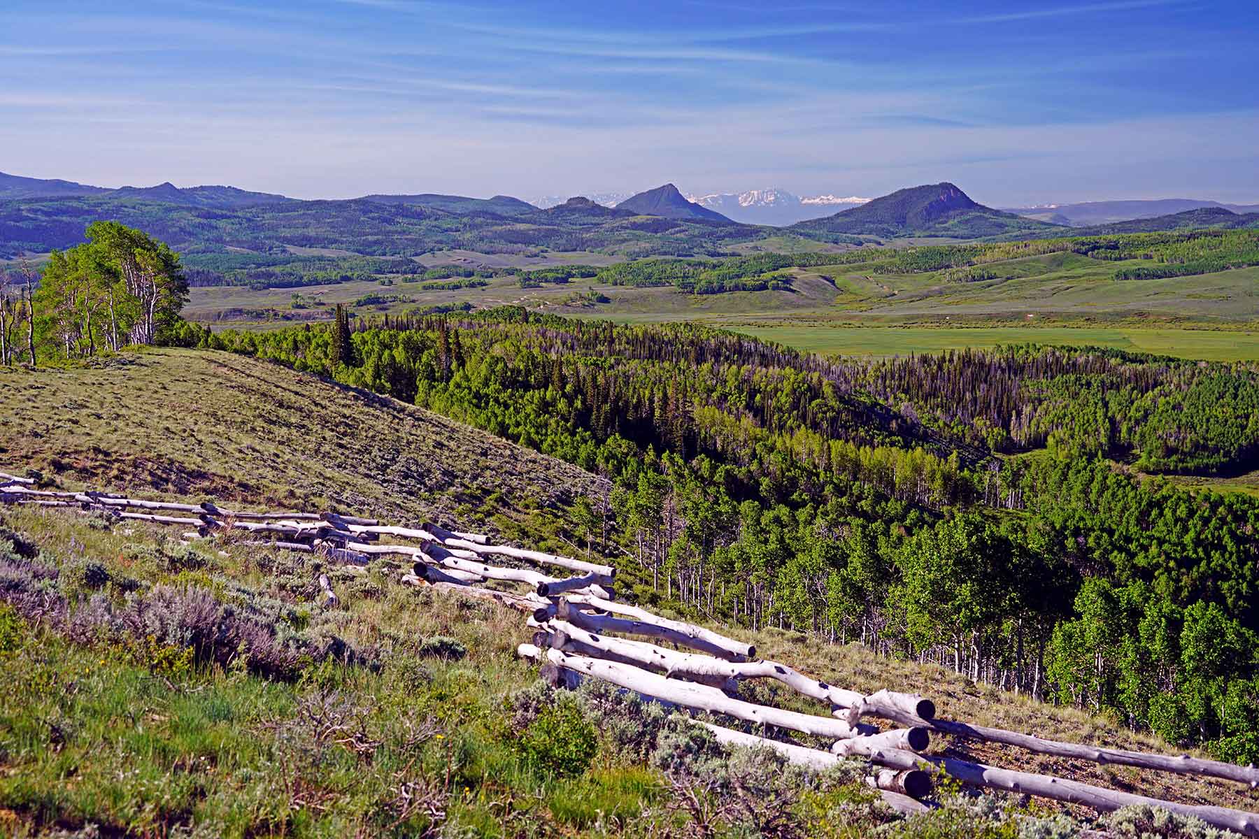 Mexican Ridge Ranch property picture 41 of 48