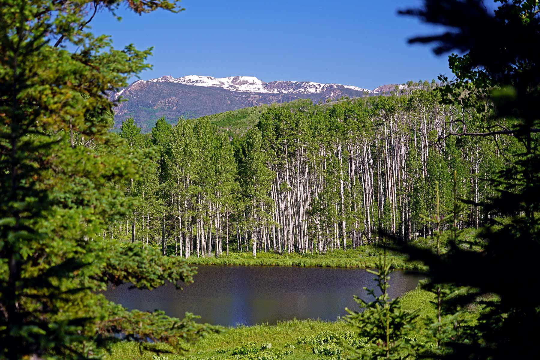 Mexican Ridge Ranch property picture 13 of 48