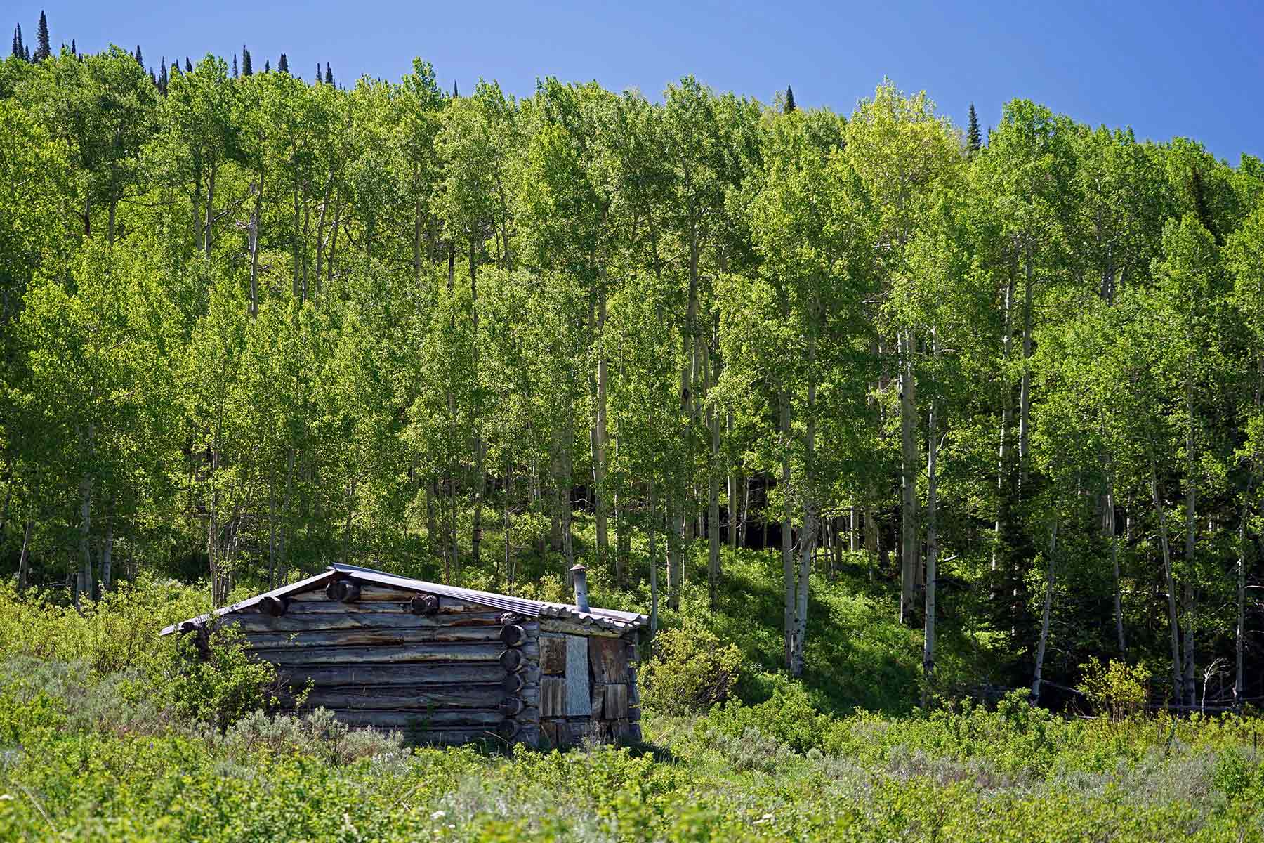 Mexican Ridge Ranch property picture 40 of 48