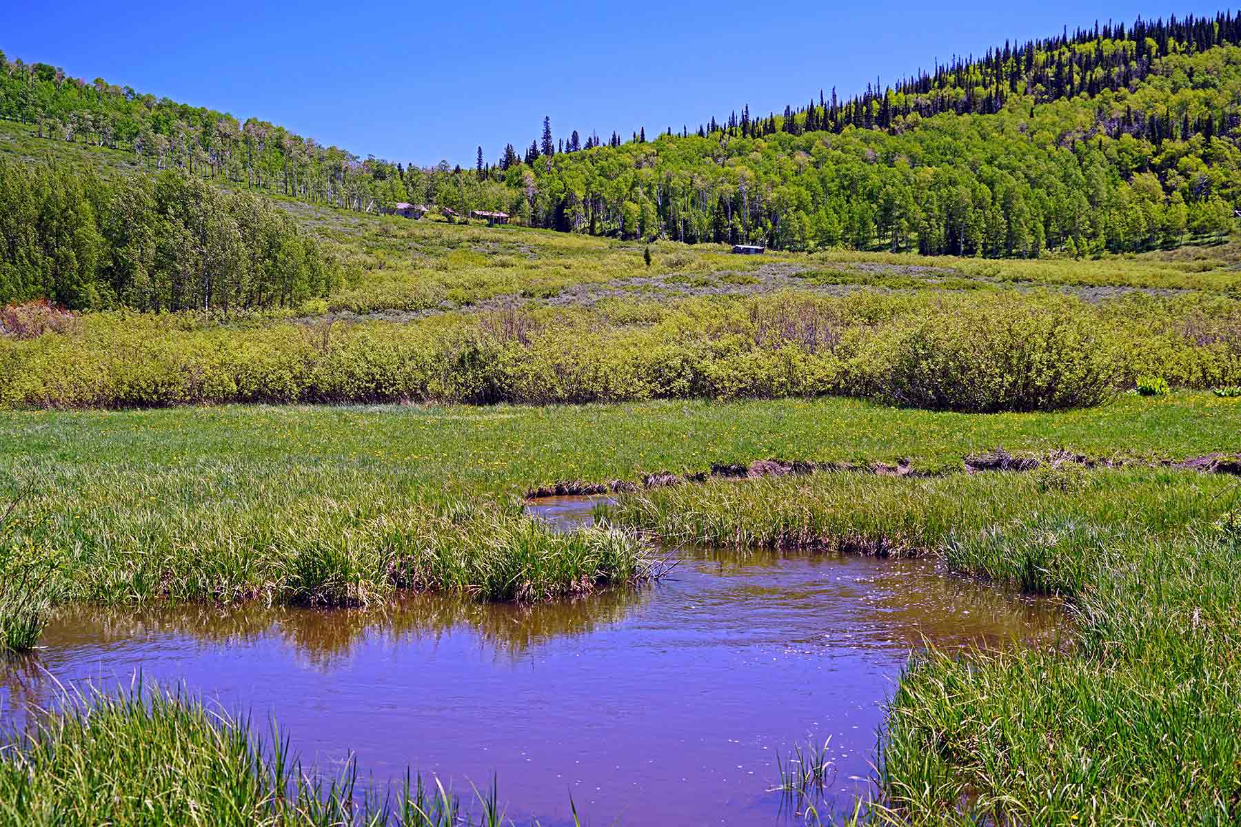 Mexican Ridge Ranch property picture 19 of 48