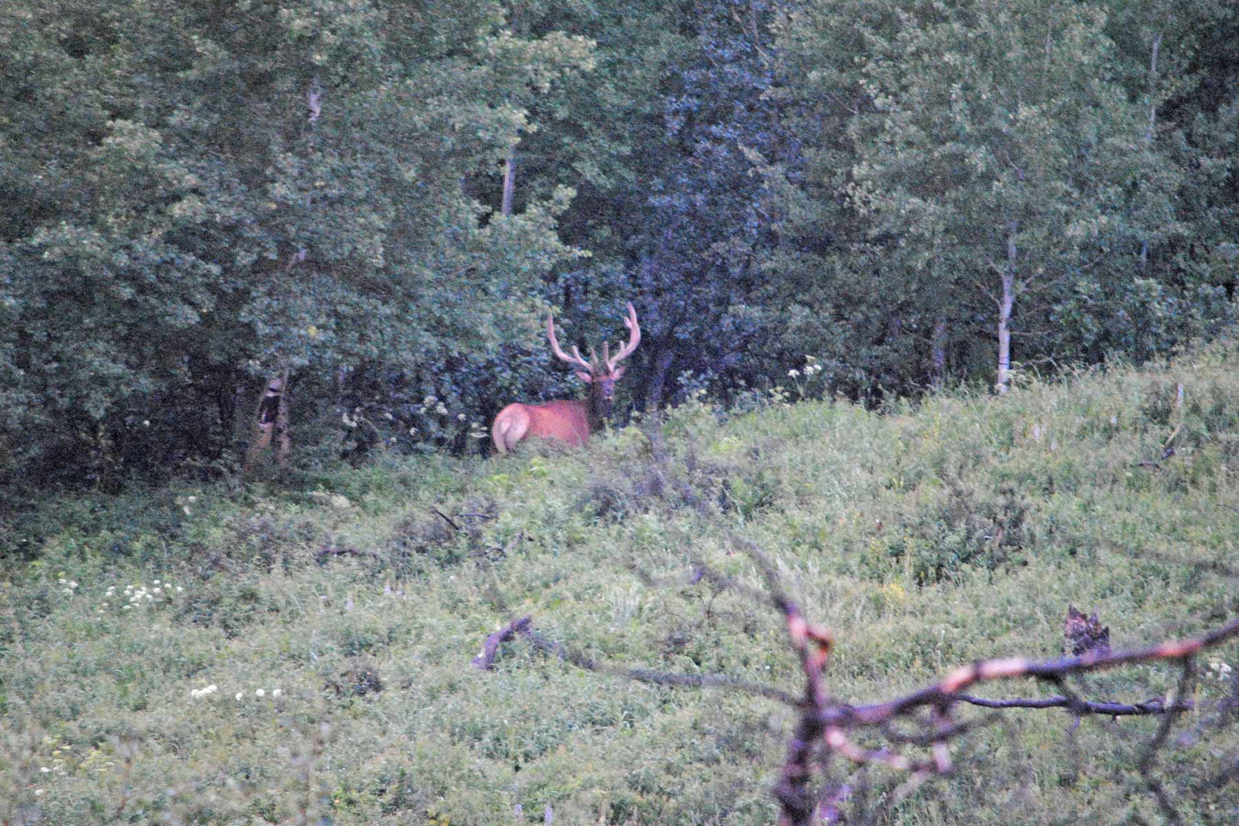 Mexican Ridge Ranch property picture 37 of 48