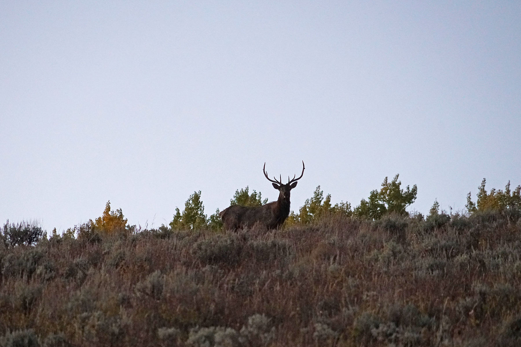 Mexican Ridge Ranch property picture 28 of 48