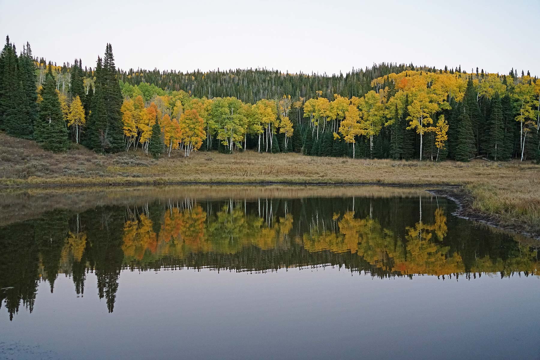 Mexican Ridge Ranch property picture 22 of 48