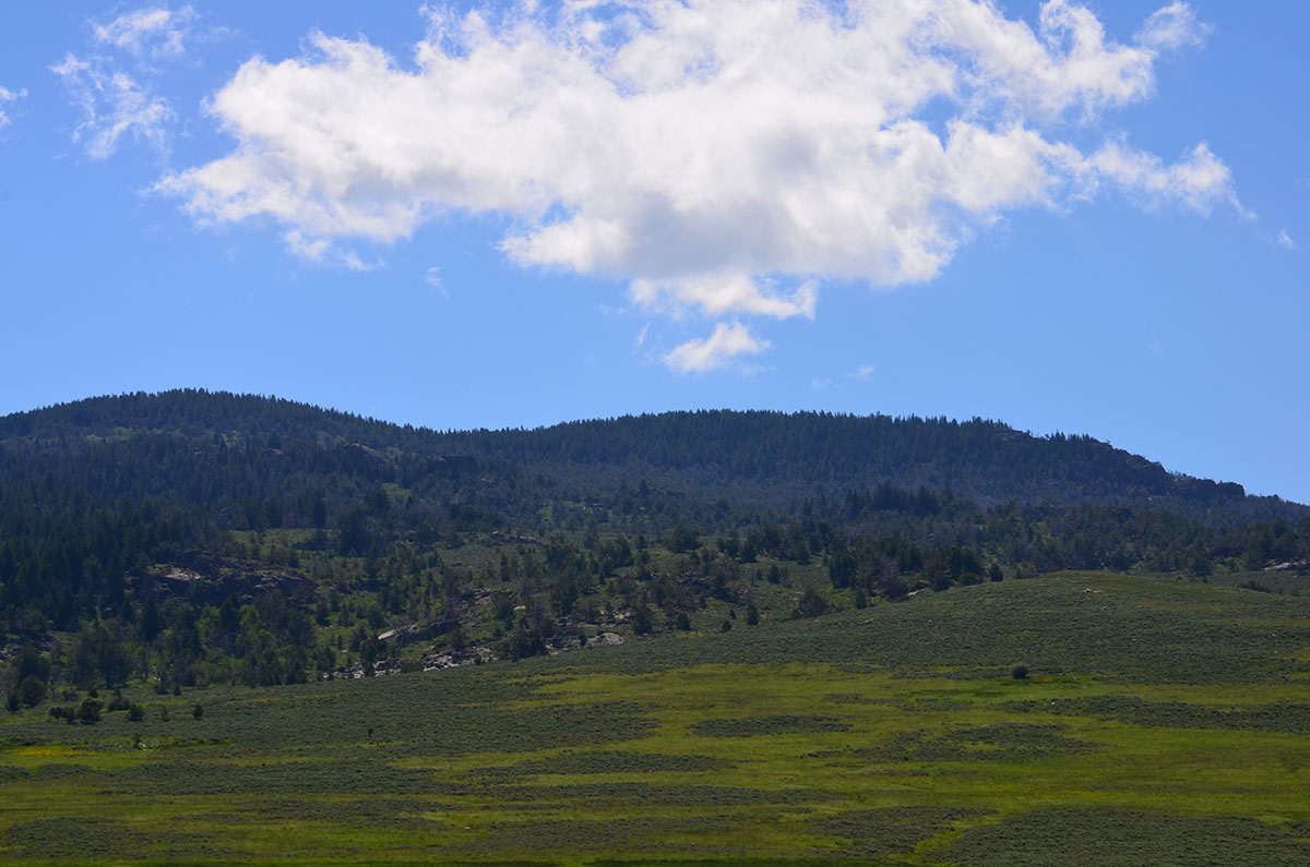 Lost Creek Mountain Property property picture 3 of 10