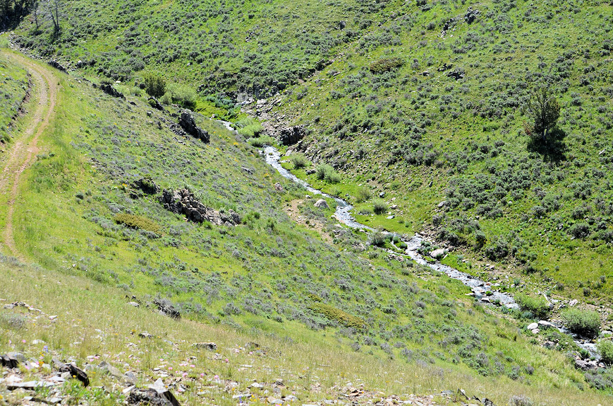 Lost Creek Mountain Property property picture 4 of 10