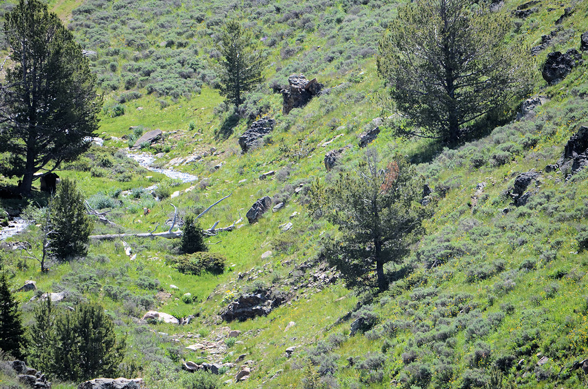 Lost Creek Mountain Property property picture 5 of 10