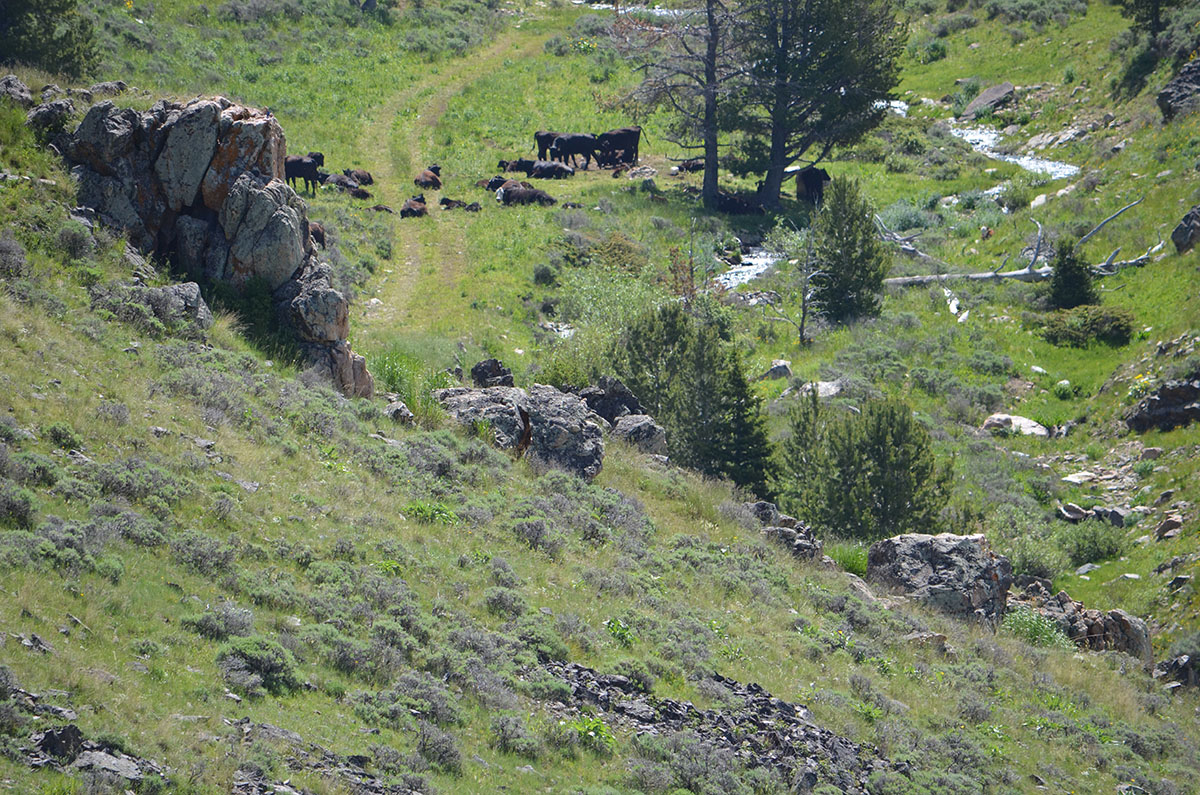 Lost Creek Mountain Property property picture 7 of 10