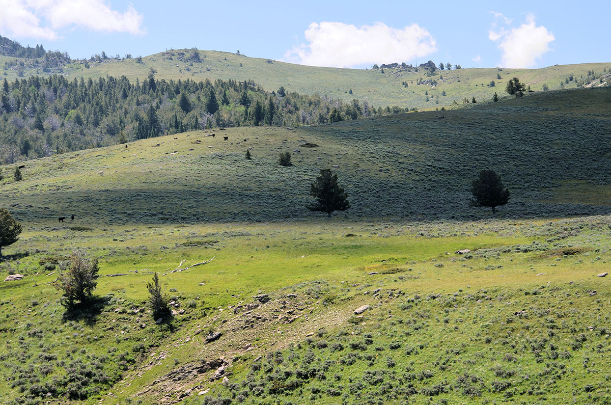 Lost Creek Mountain Property property picture 8 of 10