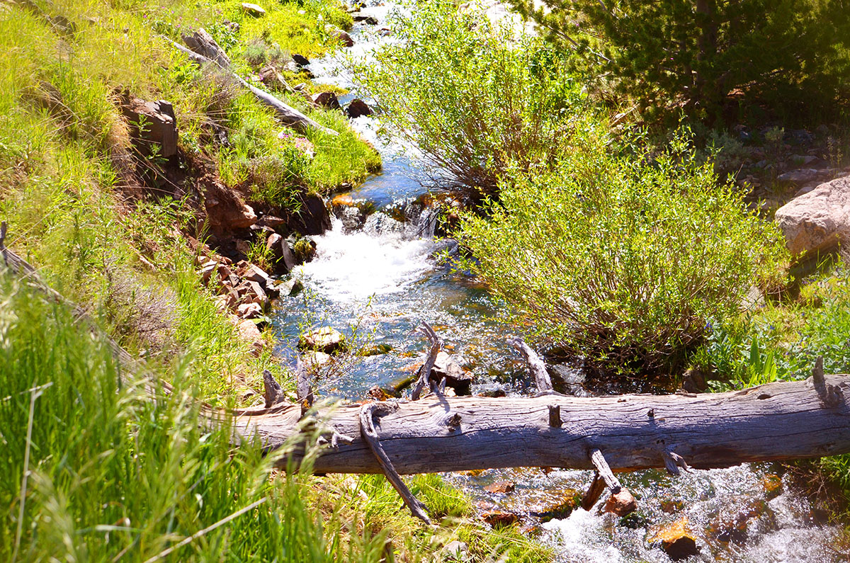 Lost Creek Mountain Property property picture 9 of 10