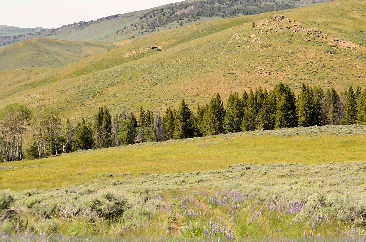 Lost Creek Mountain Property property picture 2 of 10