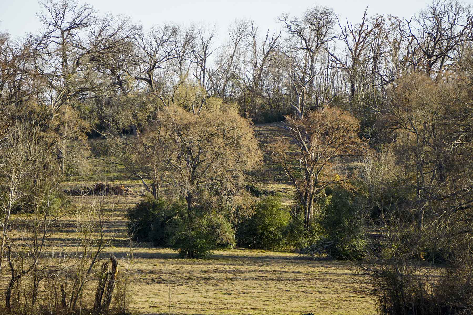 No River Ranch property picture 7 of 10