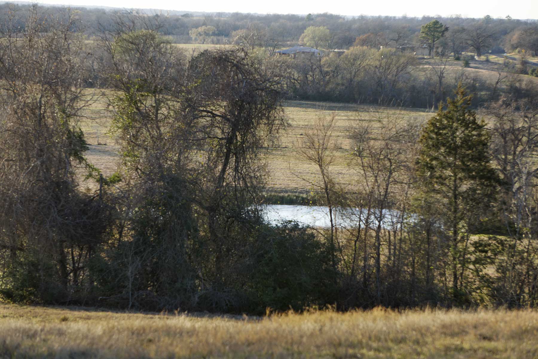 No River Ranch property picture 5 of 10