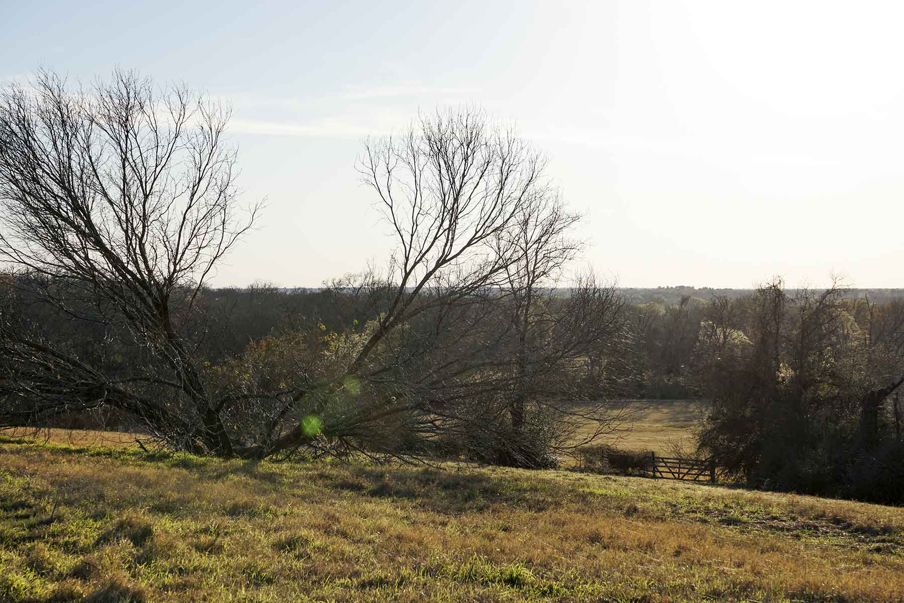 No River Ranch property picture 2 of 10