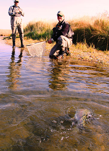 Smith River Ranch property picture 4 of 26