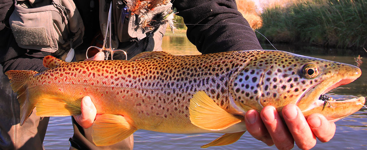 Smith River Ranch property picture 16 of 26