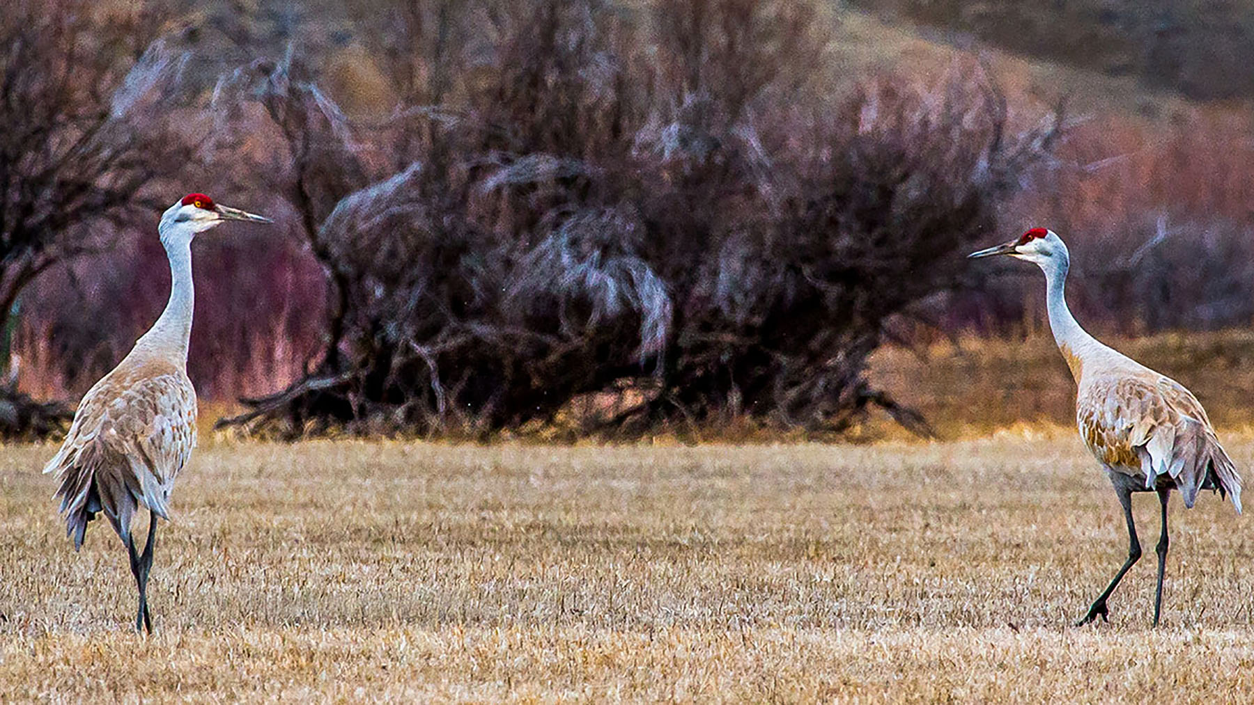 Smith River Ranch property picture 26 of 26