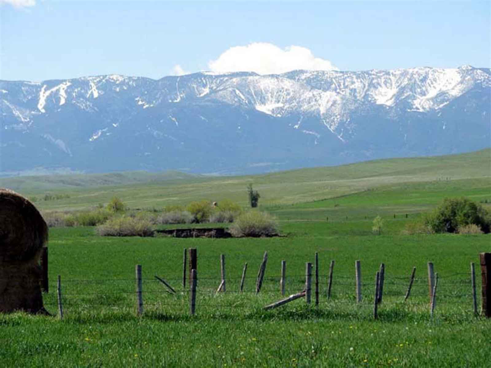 Lazy L Creek Ranch property picture 19 of 22