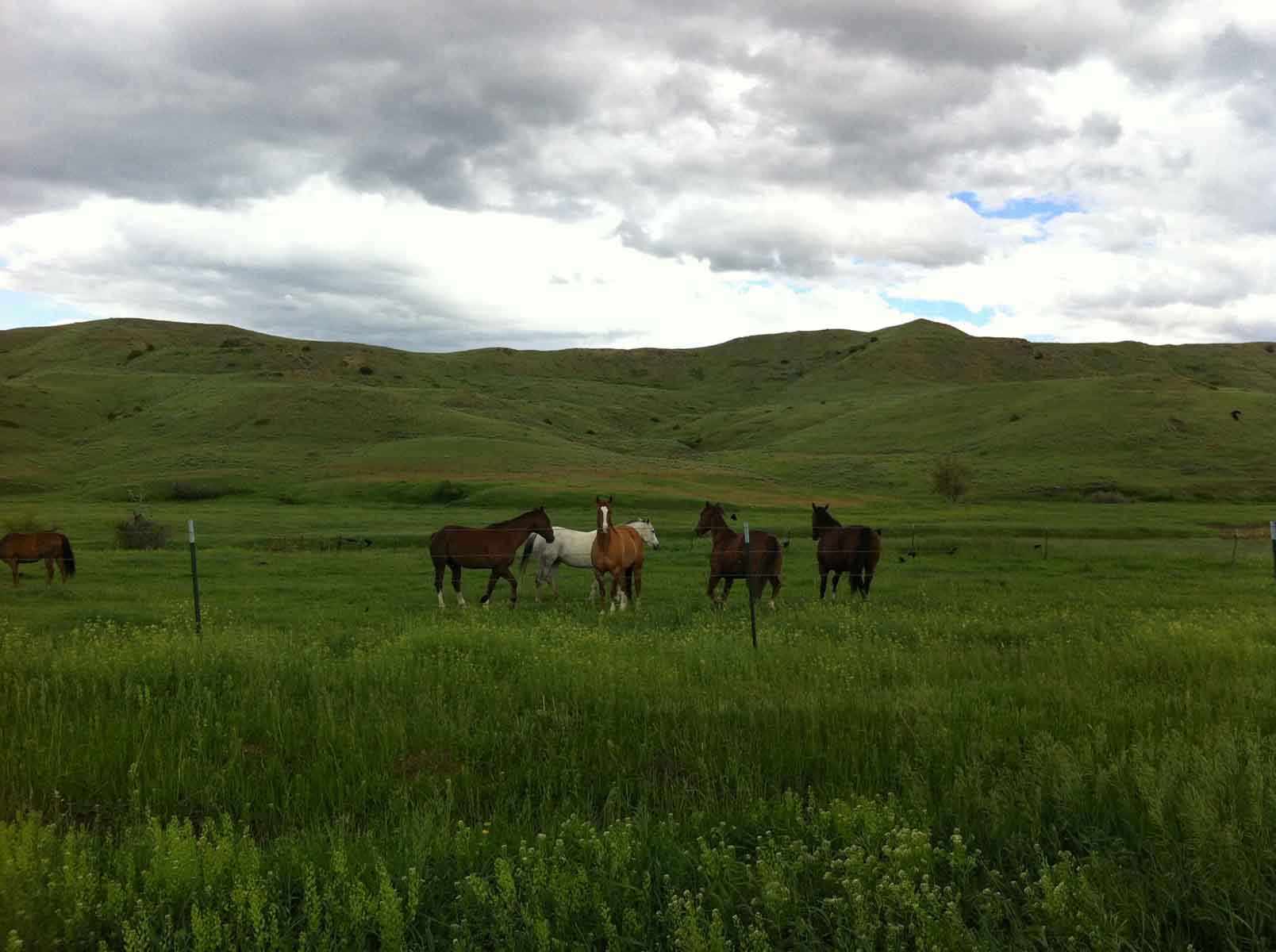 Lazy L Creek Ranch property picture 14 of 22